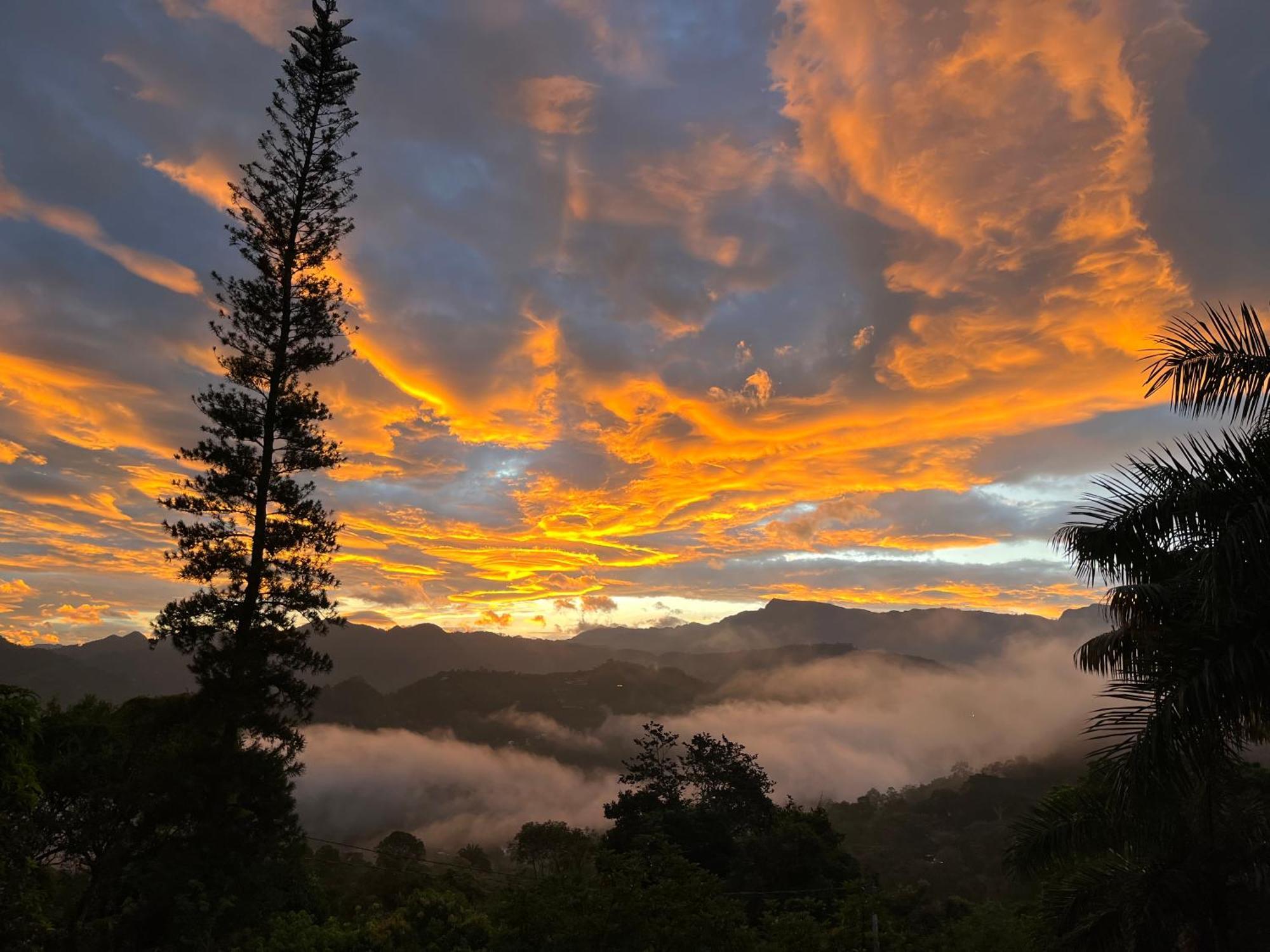 Отель Alojamiento Campestre En La Vega - A 1 Hora Exacta De Bogota Экстерьер фото